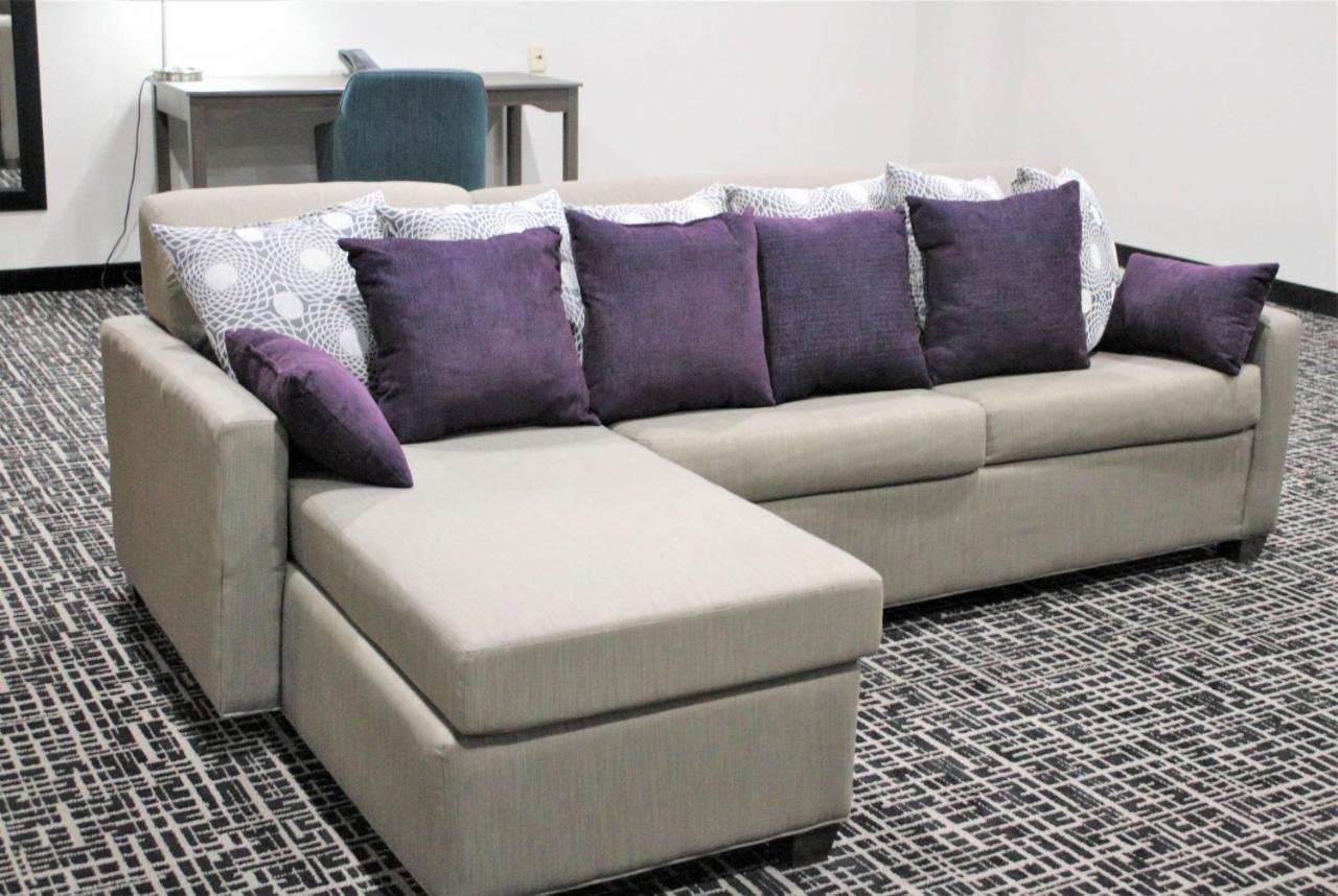 La Quinta Inn & Suites By Wyndham Indianapolis Downtown Ngoại thất bức ảnh